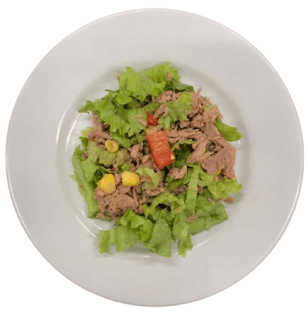 Ton Balıklı Salata
